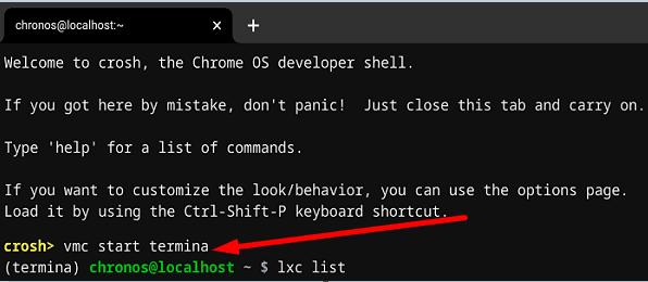 Chromebookの修正:ペンギンコンテナの起動エラー Chromebookの修正:ペンギンコンテナの起動エラー