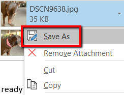 Come ridimensionare in blocco le foto utilizzando Windows 10 Come ridimensionare in blocco le foto utilizzando Windows 10
