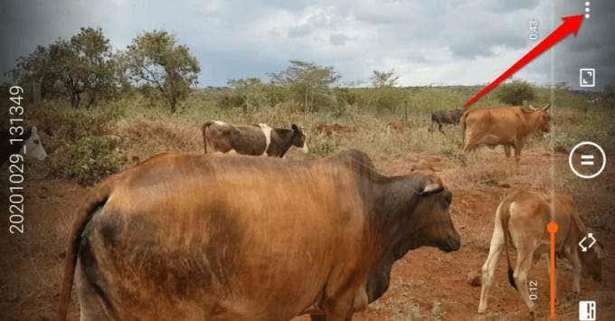 ピクチャ モードで Android ピクチャを使用する方法 ピクチャ モードで Android ピクチャを使用する方法